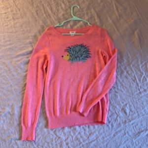 Pink porcupine / hedgehog sweater